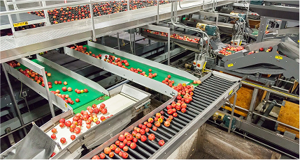 Fruit Processing Plant